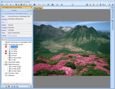 Screenshot of the application Vole Media CHM - #2