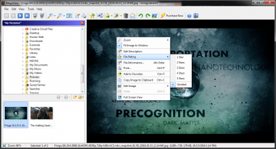 Screenshot of the application MegaView - #2
