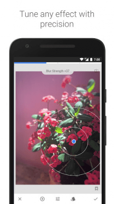 Screenshot of the application Snapseed - #3