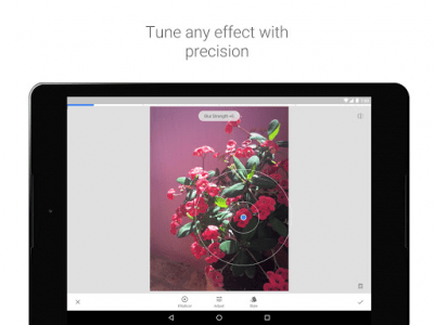 Screenshot of the application Snapseed - #5