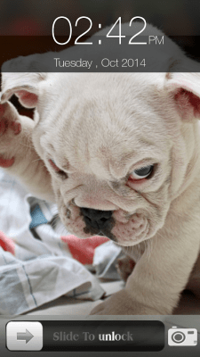 Screenshot of the application Dog Screen Lock - #2