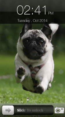 Screenshot of the application Dog Screen Lock - #3