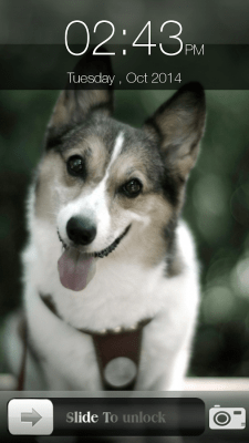 Screenshot of the application Dog Screen Lock - #4