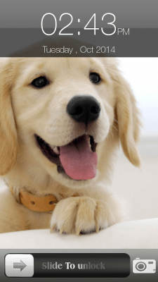 Screenshot of the application Dog Screen Lock - #5
