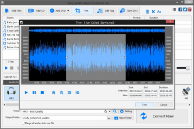 Screenshot of the application Audio Converter Pro - #3