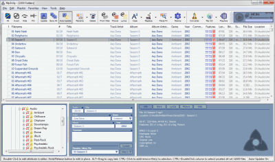 Screenshot of the application Mp3nity - #4