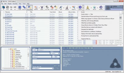 Screenshot of the application Mp3nity - #5