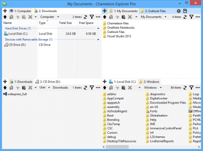 Screenshot of the application Chameleon Explorer - #2