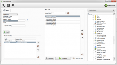 Screenshot of the application Solid Renamer - #2