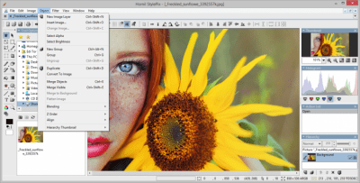 Screenshot of the application StylePix - #2