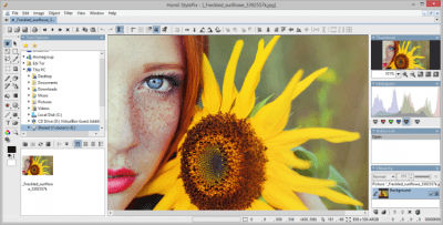 Screenshot of the application StylePix - #4