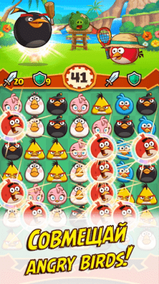Screenshot of the application Angry Birds Fight! - #6