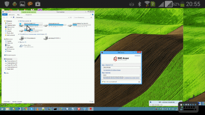 Screenshot of the application RMS Remote Access - #2