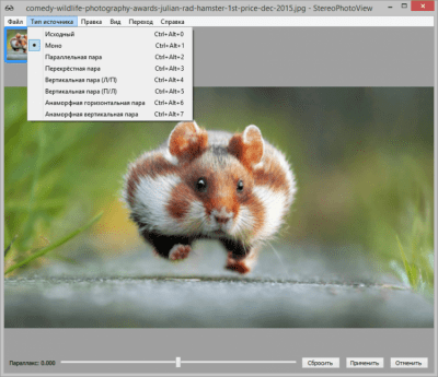 Screenshot of the application StereoPhotoView - #2