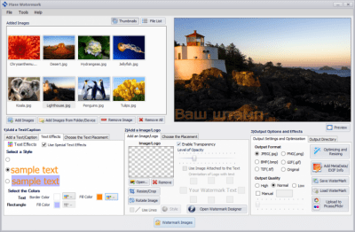 Screenshot of the application Mass Watermark - #2