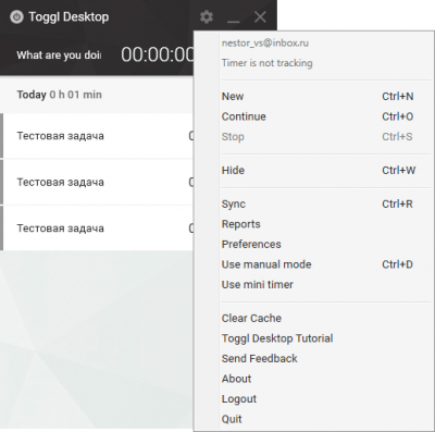 Screenshot of the application Toggl - #2