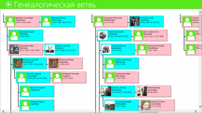 Screenshot of the application Family Tree (Windows 10) - #6