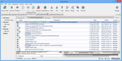 Screenshot of the application SourceTree for Windows - #4