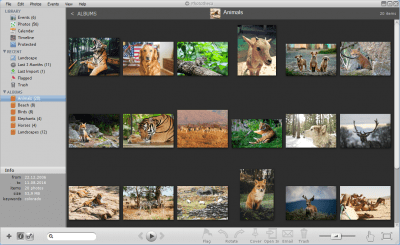 Screenshot of the application Phototheca - #3