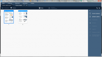 Screenshot of the application Movavi PDF Editor - #1