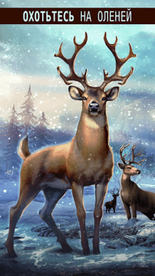 Screenshot of the application DEER HUNTER 2018 - #2