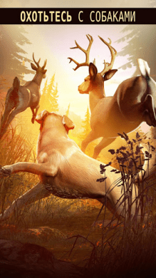 Screenshot of the application DEER HUNTER 2018 - #3