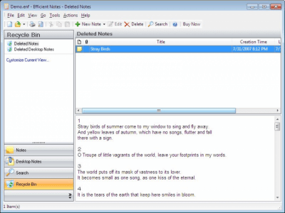 Screenshot of the application Efficient Notes - #3