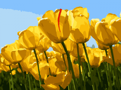 Screenshot of the application HobbyLine Coloring Book - #2