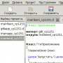 Download Delavar