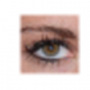Download mrViewer