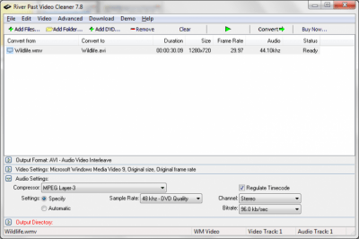 Screenshot of the application River Past Video Cleaner - #2