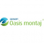 Download Oasis montaj