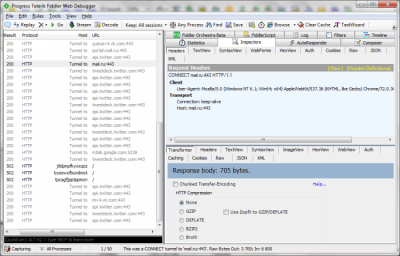 Screenshot of the application Fiddler - #2