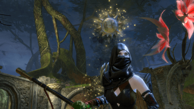 Screenshot of the application Guild Wars 2 - #10