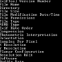 Download ExifTool