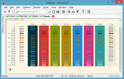 Screenshot of the application SecureCRT - #4