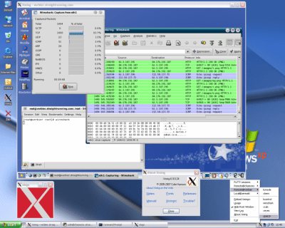 Screenshot of the application Xming - #2