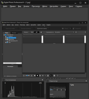 Screenshot of the application Canon Digital Photo Professional - #2