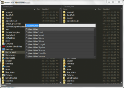 Screenshot of the application fman - #2