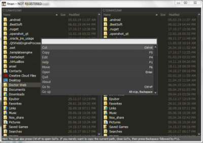 Screenshot of the application fman - #3