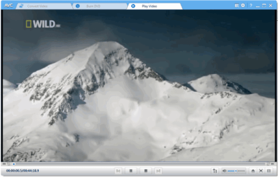 Screenshot of the application Any Video Converter - #2