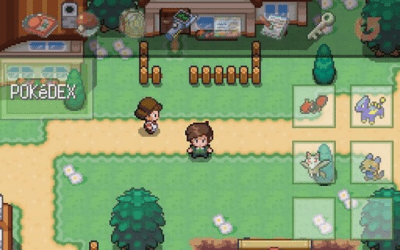 Screenshot of the application Pokemon Uranium - #2