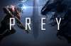 Download Prey