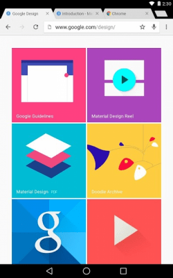 Screenshot of the application Chrome Beta - #7