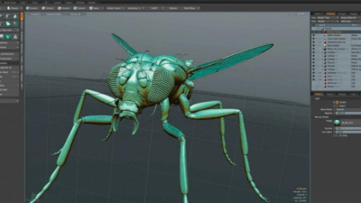 Screenshot of the application MODO - #2