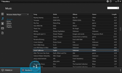 Screenshot of the application BlackBerry Link - #4