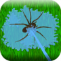 Download Flood the insects with water!