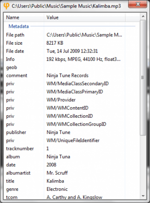 Screenshot of the application fmedia - #5