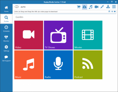 Screenshot of the application Replay Media Catcher - #2