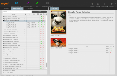 Screenshot of the application tinyMediaManager - #2